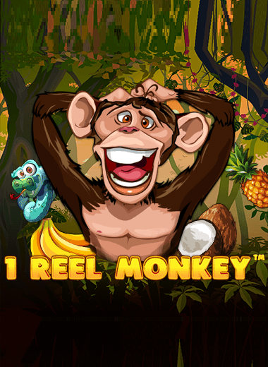 1 Reel Monkey