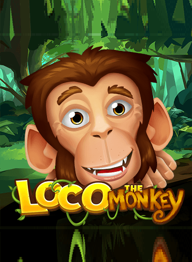 Loco the Monkey