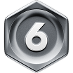 Silver 6